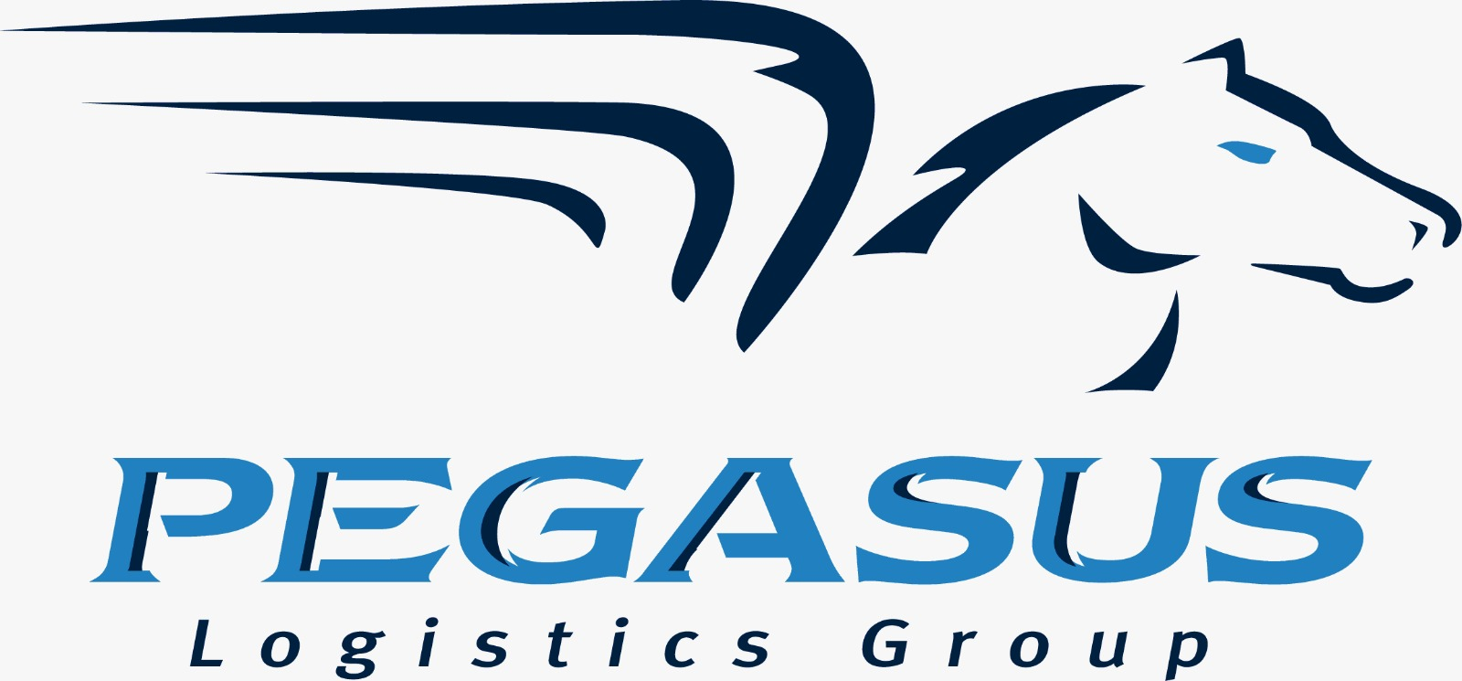 PLG LOGISTICS GROUP COSTA RICA, SOCIEDAD DE RESPONSABILIDAD LIMITADA's logo